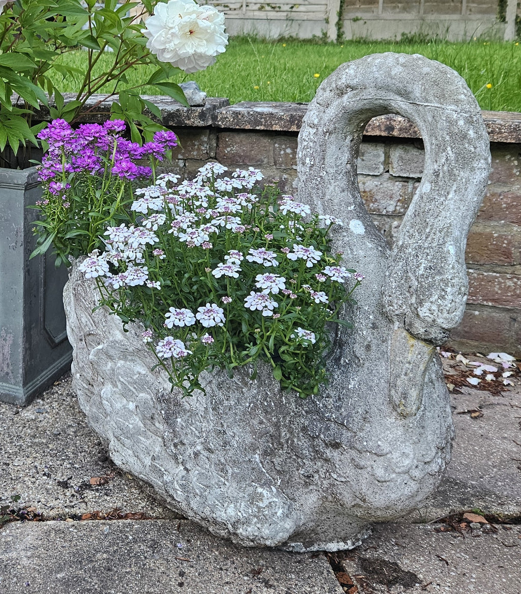Composite Stone Swan
